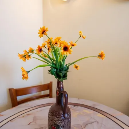 And Cozy 1bdrm Apt. * Sofia